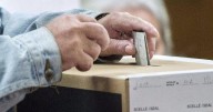 Five things to watch in Quebec's municipal elections for Nov. 2