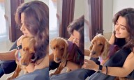 Rashmika Mandanna’s New Video Sparks Engagement Buzz
