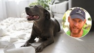 Alan Peiró, adiestrador canino: “Si tu perro está alterado o excitado, no lo castigues”