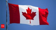 'Sinister': Indian man sentenced to 5.5 months in jail in Canada for spying on women through a peephole, won't be deported as...