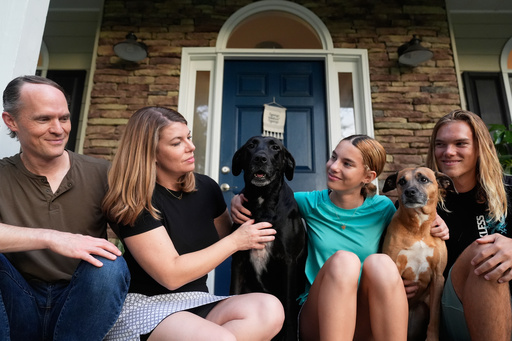 Losing a family pet gives parents a chance to teach children about death and grieving