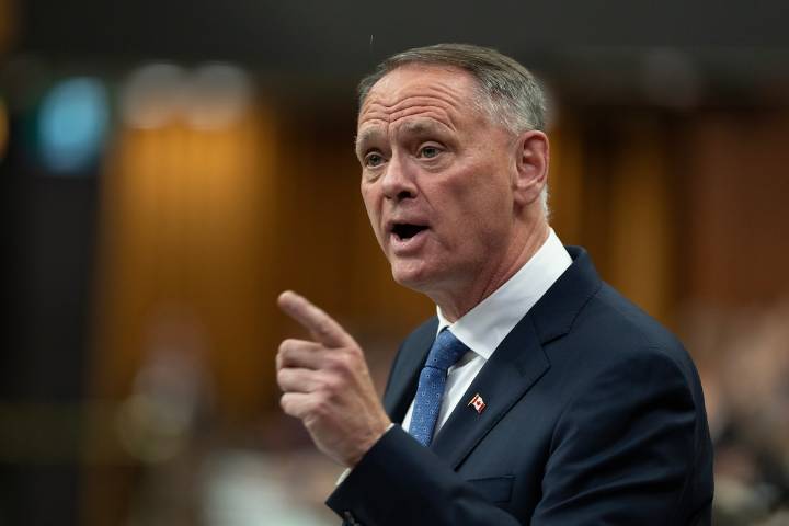 McGuinty says budget will pave the way for Canada to hit defence spending pledge