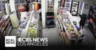 Suspect wounded in liquor store shootout with LAPD officers