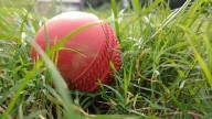 3 Meghalayans in North East squad for BCCI’s Senior Women’s Inter Zonal T20 Trophy 2025