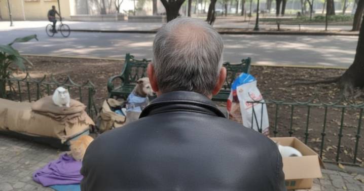¿En qué telenovelas salió Alejandro Landero, actor captado en situación de calle en la colonia Condesa?