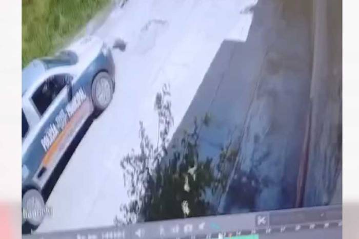 Patrulla atropella a perrito que descansaba y causa indignación en Jocotitlán