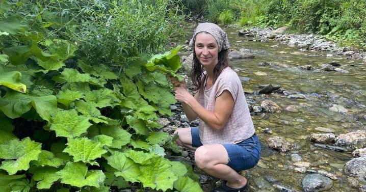 'A desire to find the wild' Homesteading family cultivates herbal endeavor