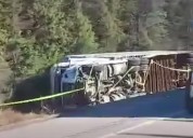 Transport overturned on Highway 599