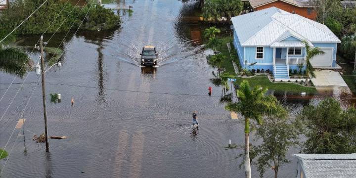 New Florida law inspired by dog found chained during hurricane goes into effect