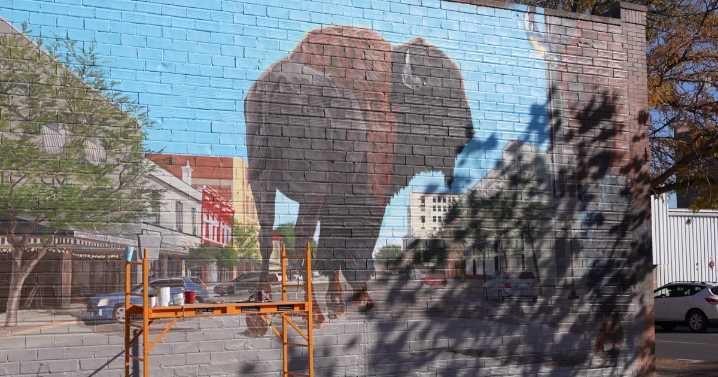 Bison mural in Great Falls shares history through art