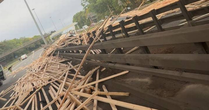 Man dies in horror M8 crash after tractor sheds load of timber
