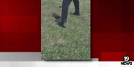 Richmond Heights Police officer rescues trapped squirrel