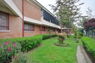 Alerta en La Pintana: delincuentes ingresan a colegio en pleno horario de clases durante persecución policial