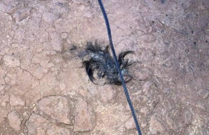 Un hombre resulto con el 40% del cuerpo quemado tras recibir una descarga eléctrica