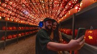 Visit these 6 events in NJ, NY to see vibrant Halloween light shows
