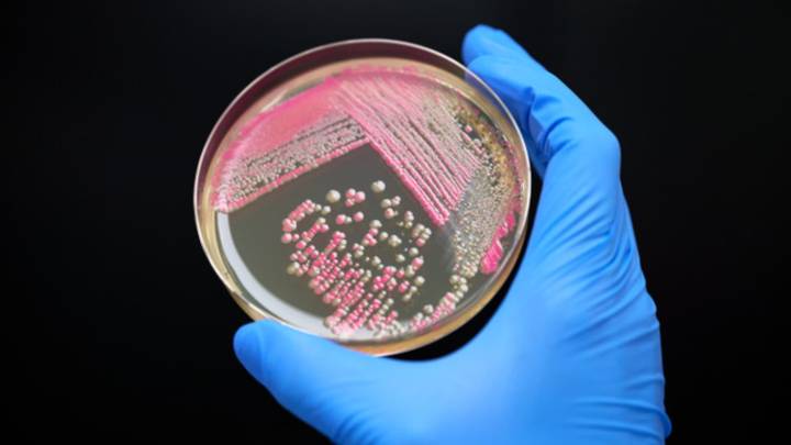 Debut Biotech partners with Image Skincare for personalized beauty