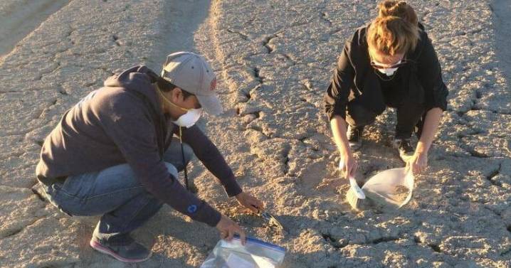 Imperial Valley's next generation at risk from Salton Sea's toxic dust, doctors warn
