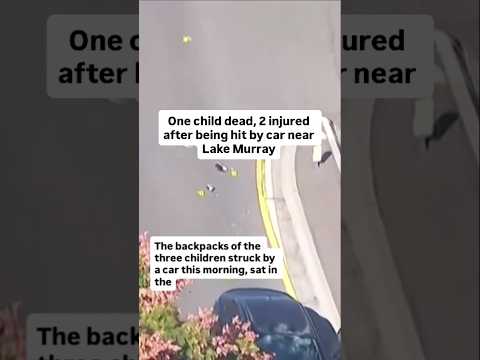 One child dead, 2 injured after being hit by car near Lake Murray