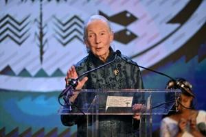 ‘Conservation giant’: World reacts to Jane Goodall’s death