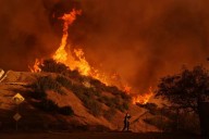 Pressure mounts for investigations into LA fire mismanagement