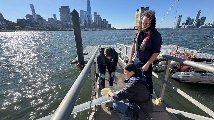 Hudson River Park event spotlights local biodiversity