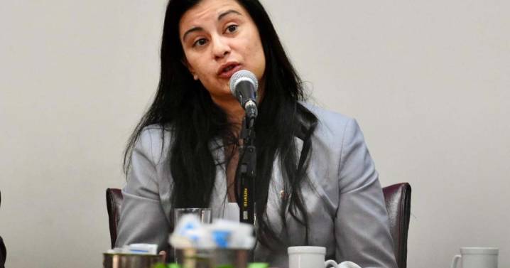 Después de frizarlo, la Legislatura aprobó el pliego de Rivero y Rincón de los Sauces se queda sin fiscal