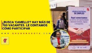 ¿Busca trabajo? Hay más de 700 vacantes. Le contamos cómo participar