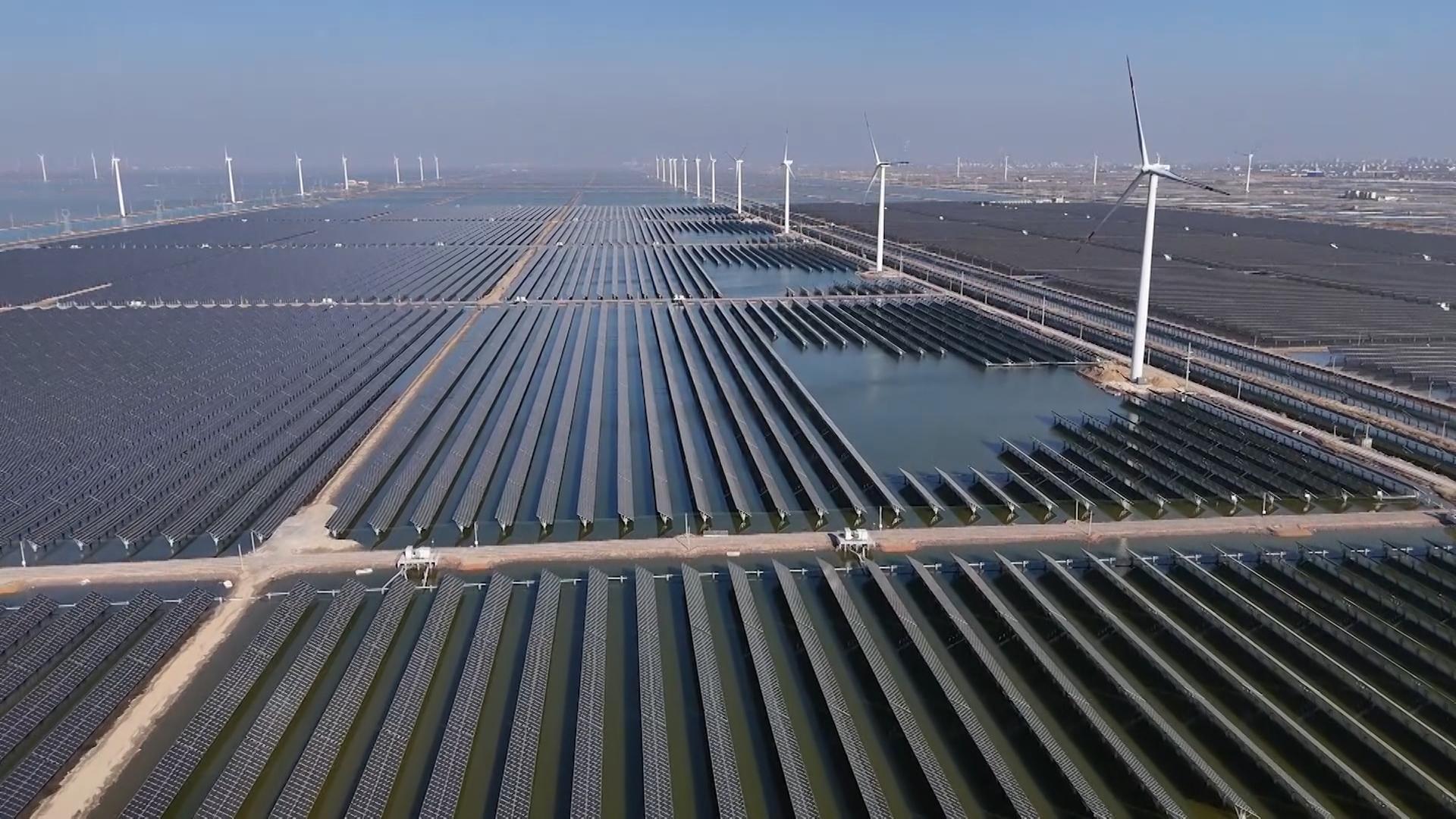 Solar and wind power increased faster than electricity demand in first half of 2025, report says