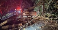 No injuries when pickup truck crashes into fallen tree near Beech Grove