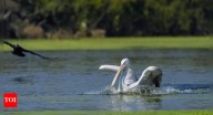 What makes Keoladeo National Park a UNESCO World Heritage Site?