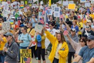 Naperville No Kings protesters voice their opposition to Trump