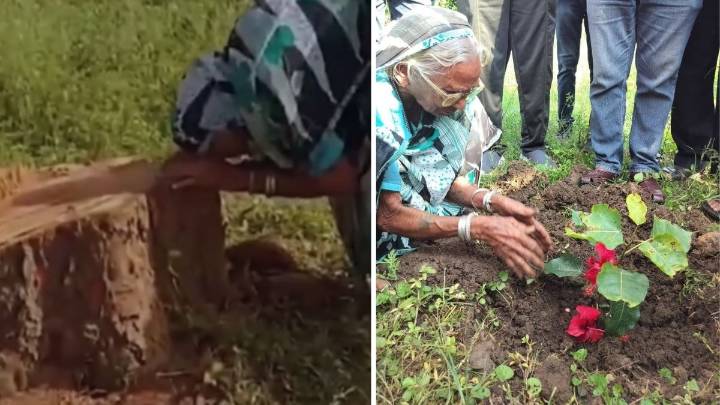We the peepal: Woman's wails over felled tree get cop, MLA into action