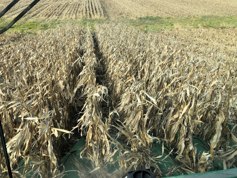 More pain for US farmers as government shutdown halts payments