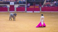 El PP defiende la tauromaquia como patrimonio cultural y exige al PSOE que aclare su postura