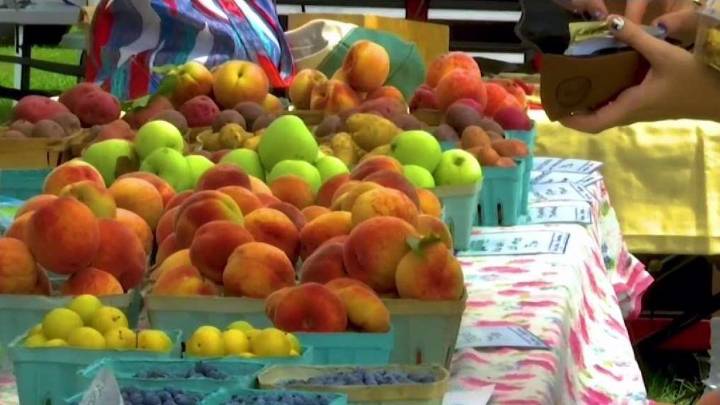 Connecticut market wins 2nd place in America’s Farmers Market Celebration