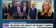 Access to economic data is a ‘bigger issue’ than market behavior amid shutdown, strategist claims