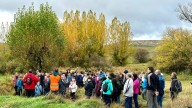 Estercuel (Teruel) celebra la Fiesta del Chopo Cabecero: excursiones, premios y conciertos