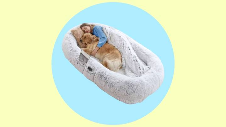 Save 35% on this human-sized dog bed at Target