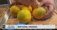 New naval oranges | Lunch Break with Michael Marks