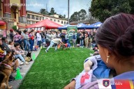 Marcha, bendición de mascotas y servicios gratuitos marcaron la Semana del Bienestar Animal en Pasto