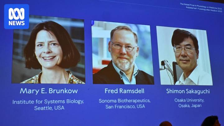 Trio of scientists win Nobel Prize in Medicine for 'discoveries concerning peripheral immune tolerance'