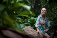 Muere la etóloga británica Jane Goodall a los 91 años