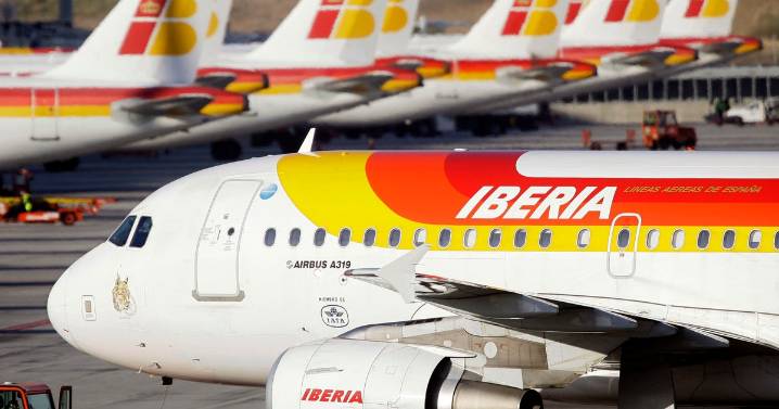 Dogs count as cargo for airline liability, EU court rules, after passenger's pet goes missing