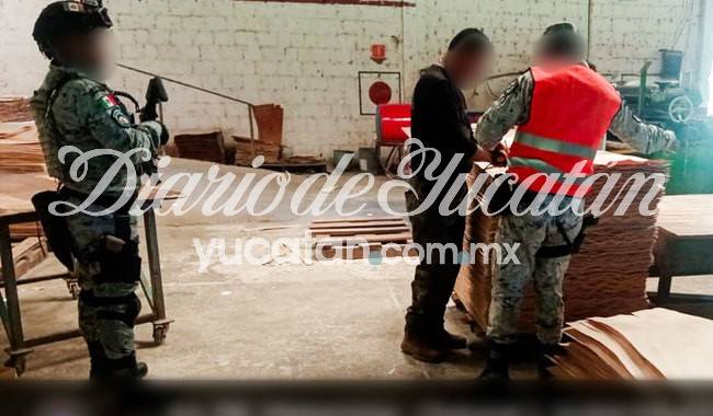 Nuevo miedo yucateco: separar el crimen del gobierno ya no es tan claro; advierten