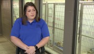 Liberty Animal Shelter raises adoption fees for first time in 20 years