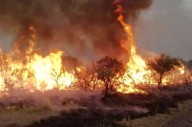 Imprudencia sin fin: quema de pastizales afecta red eléctrica en zonas de Loreto