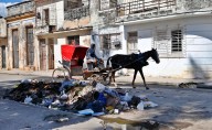 Esto puede hacer Cuba frente a la crisis y pese a las sanciones: hablan ocho economistas