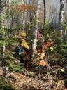 Crosby Fire grows to 300 acres, 70 % Contained