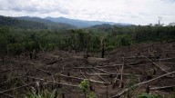 As Amazon's 'flying rivers' weaken with tree loss, scientists warn of worsening droughts