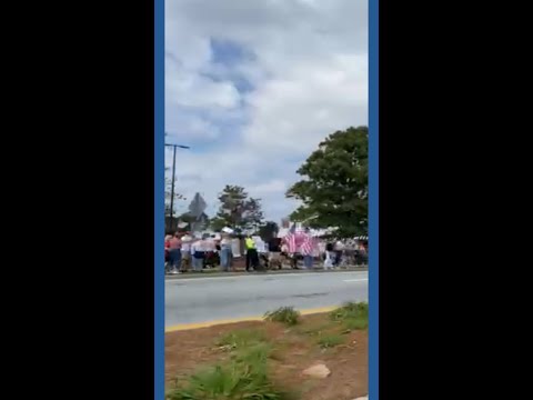 View of 'No Kings' protest in Smyrna
